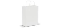 Paper Carry Bag - Large