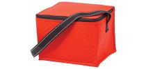 Lunch Buddy Cooler
