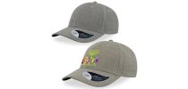 Wales Cap