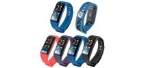 Powerfit Fitness Band