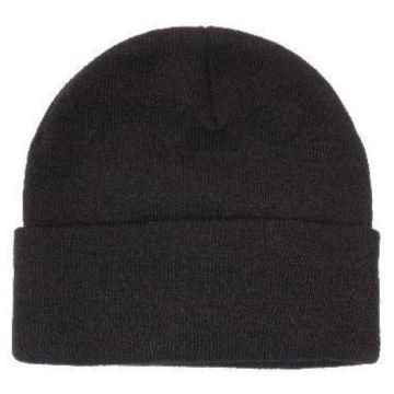 Acrylic Beanie with Thinsulate Lining